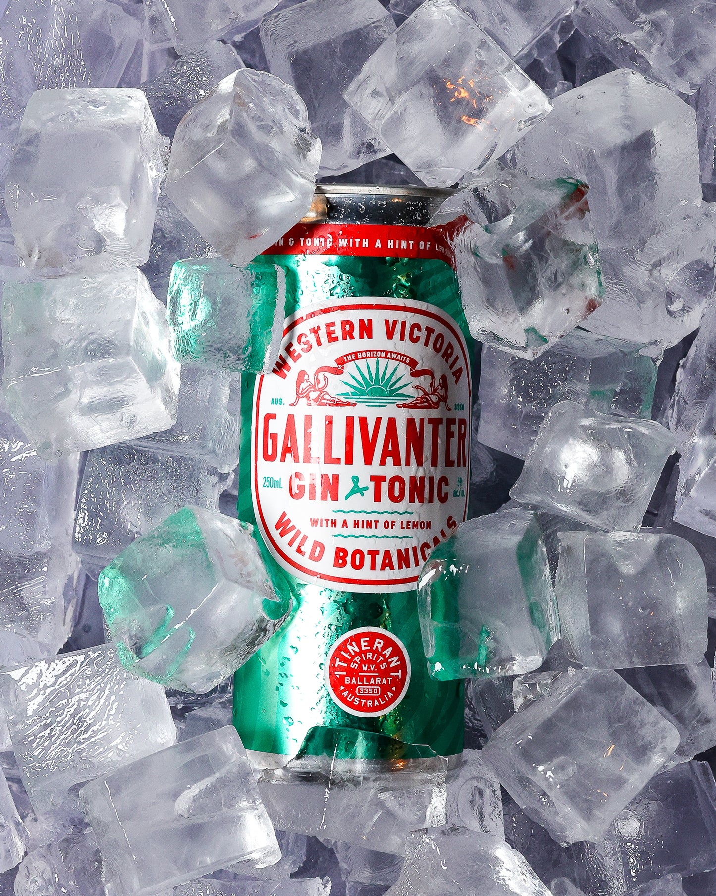 Gallivanter Gin & Tonic - Cans