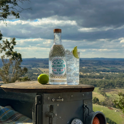 2x GALLIVANTER TRAVELLER STRENGTH GIN
